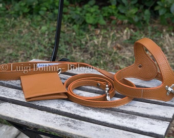 Dog harness and leash set, Buff color, genuine Italian leather