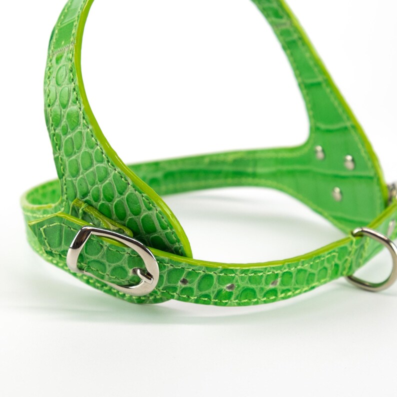 Back strap buckle detail, embossed green leather dog harness