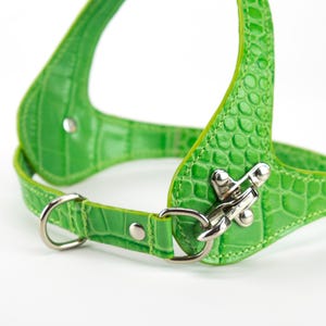 Quick release snap hook detail, embossed green leather dog harness