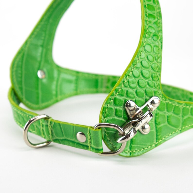 Quick release snap hook detail, embossed green leather dog harness