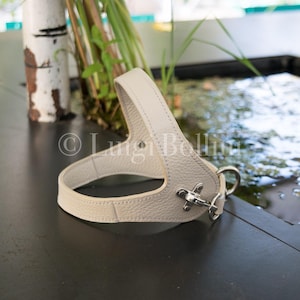 Dog harness, cream color, in soft genuine Italian leather