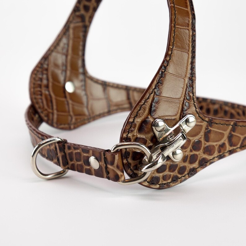 Quick release snap hook detail, embossed brown leather dog harness