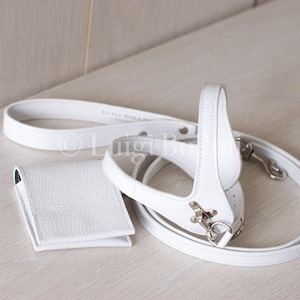 Dog harness and leash in white leather.