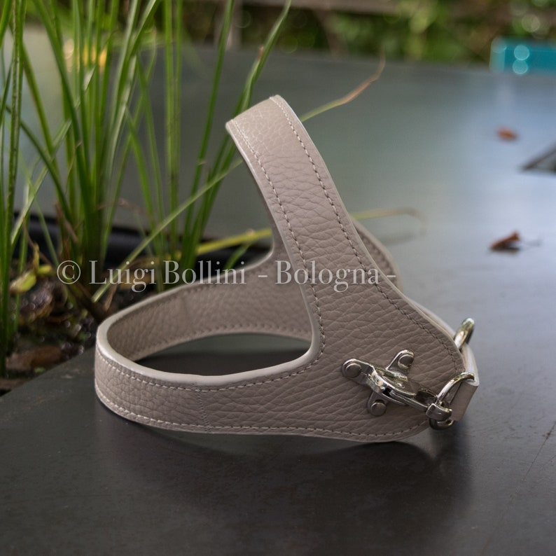 Dog Harness Made in Soft Genuine Italian Leather Color Etsy