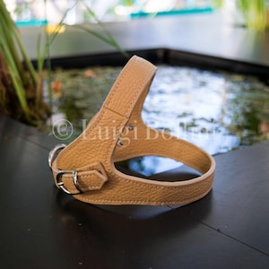 Dog harness, made in beige genuine Italian leather