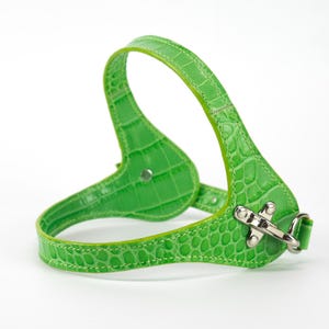 embossed green leather dog harness, handmade in Italy