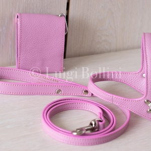 Harnais et laisse pour chien en cuir rose