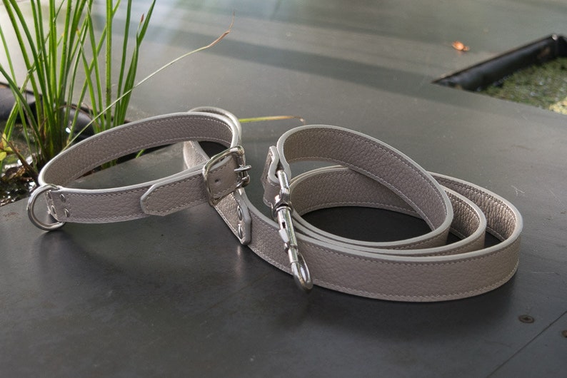 Dog Collars and Leashes in Genuine and Exclusive Italian Etsy