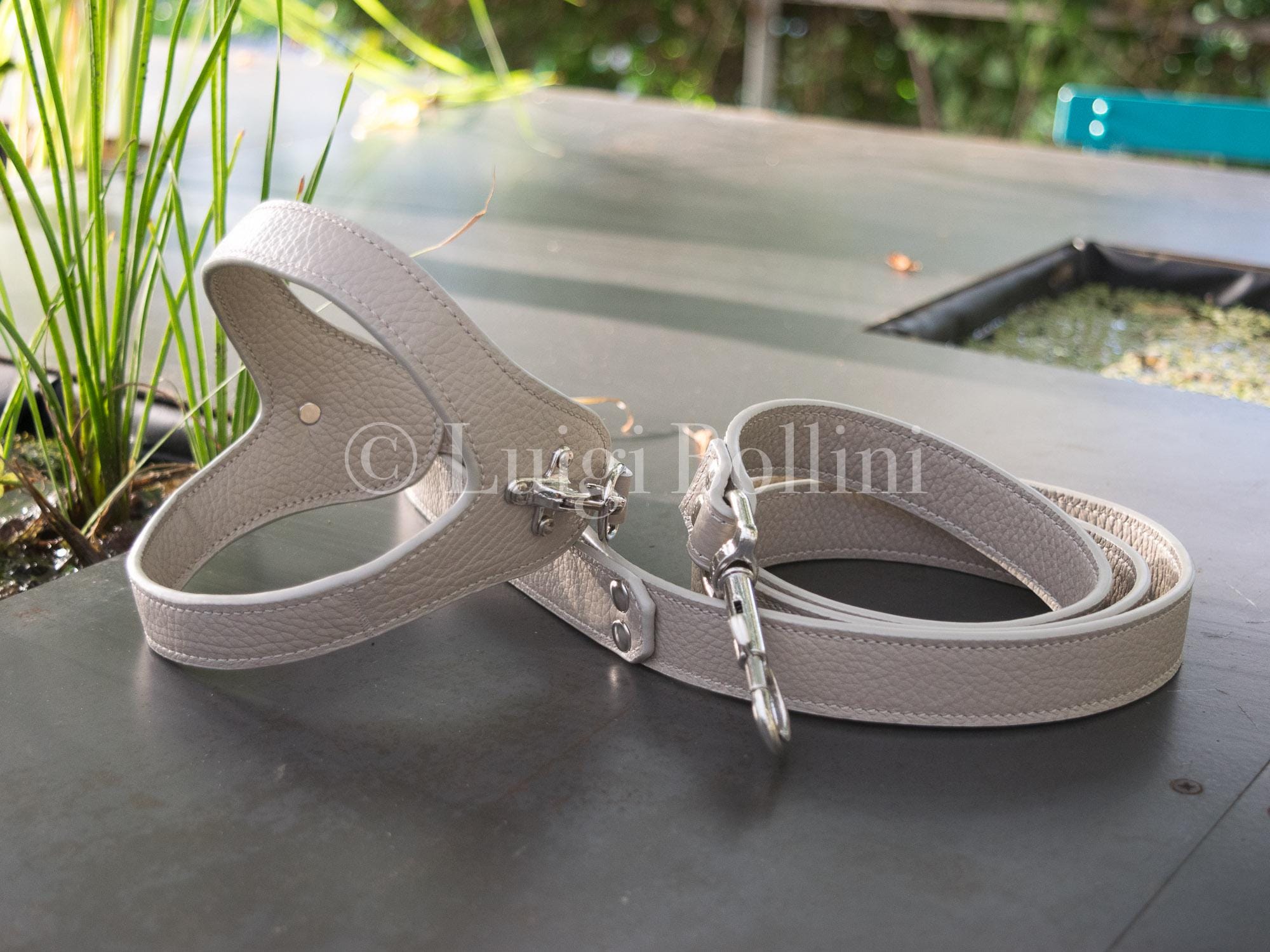 Dog harness and leash set, dove grey color.
