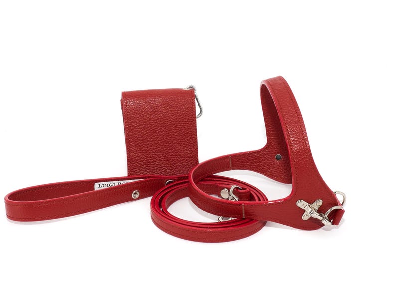 Leather dog harness and leash set brown tan color handmade Italian leather custom adjustable elegant design Red