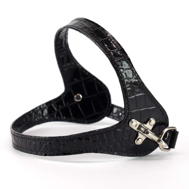 embossed black leather dog harness, handmade in Italy