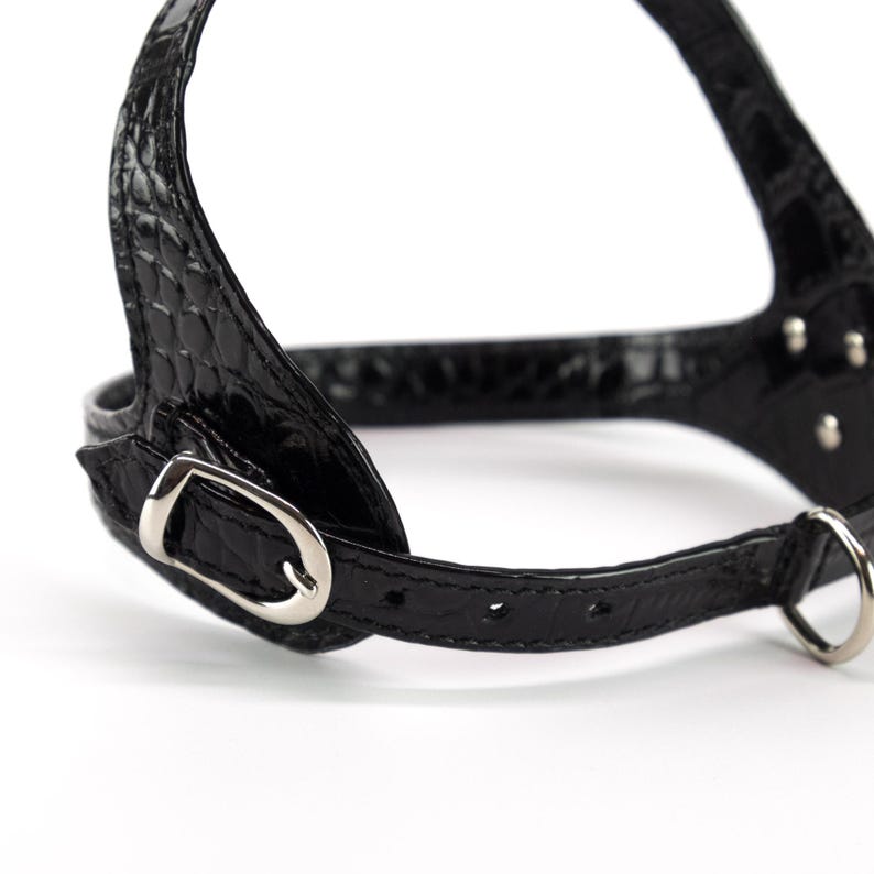 Back strap buckle detail, embossed black leather dog harness