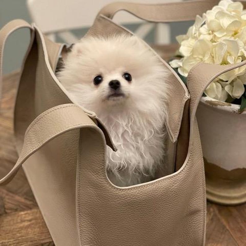 trasportino in pelle con cane all'interno