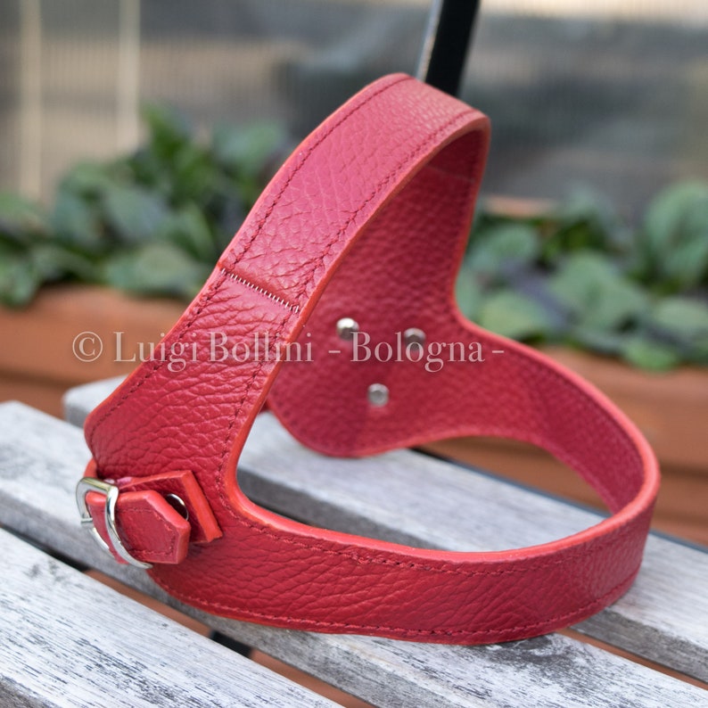 Dog Harness in Soft Genuine Italian Leather Etsy