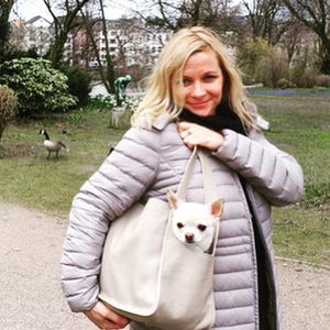 ragazza con borsa trasportino e cane