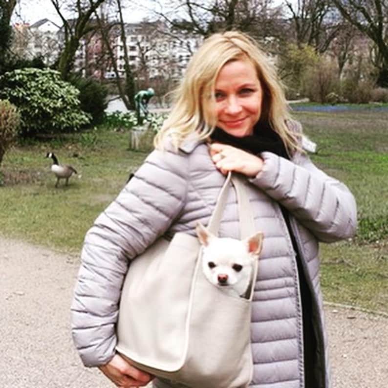 ragazza con borsa trasportino e cane