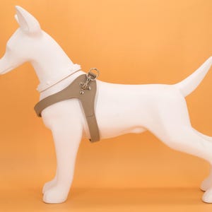 Leather dog harness and leash set brown tan color handmade Italian leather custom adjustable elegant design image 11