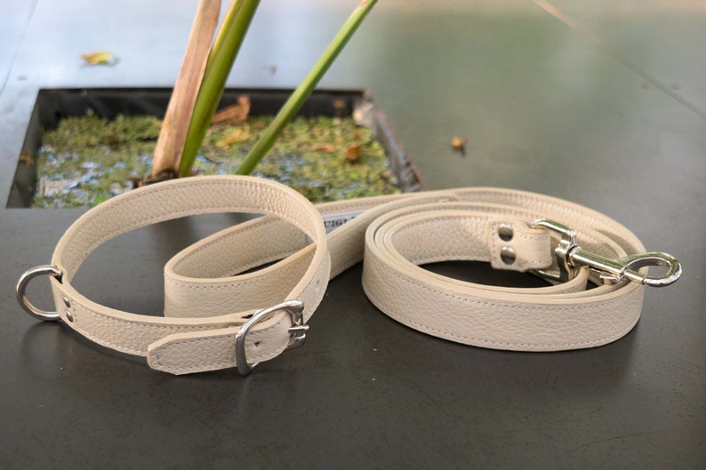 Dog Collars and Leashes in Genuine and Exclusive Italian Etsy