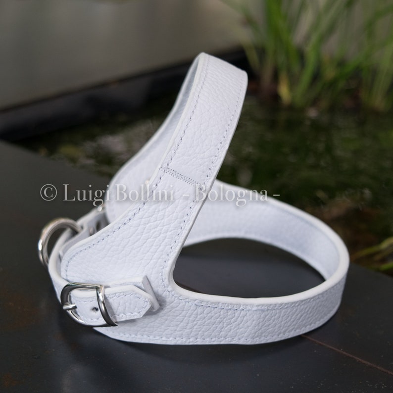 Dog Harness Made in Soft Genuine Italian Leather White Color Etsy