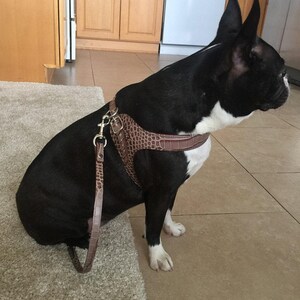 Black embossed croco leather dog harness, custom fit step-in, handmade in Italy, adjustable image 5