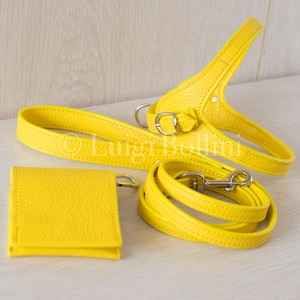 Dog harness and leash yellow leather