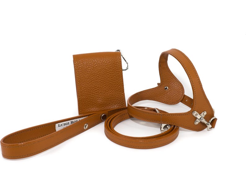 Leather dog harness and leash set brown tan color handmade Italian leather custom adjustable elegant design Cuoio