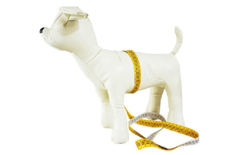 Dog Harness Made in Soft Genuine Italian Leather Cream Color Etsy