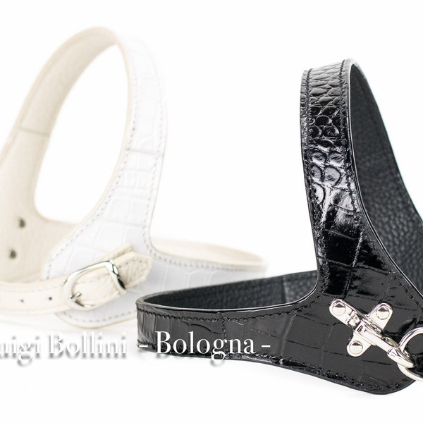Pet harness, elegant and refined, handcrafted in Italy