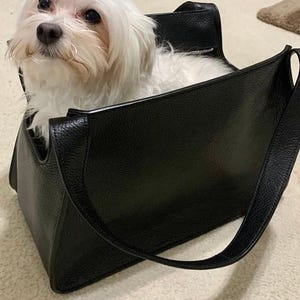 borsa trasportino nero con cane