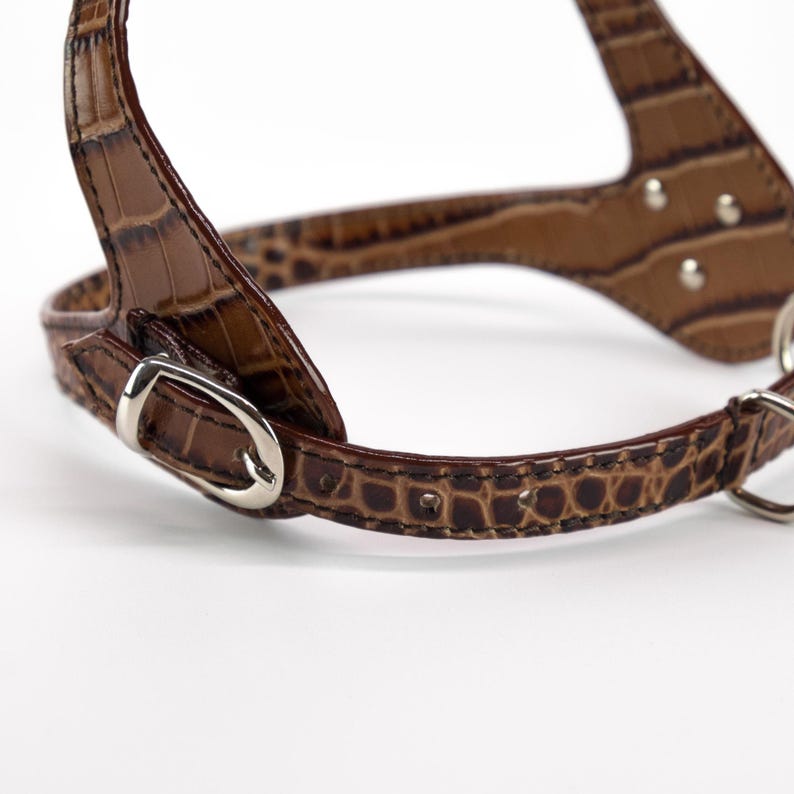 Back strap buckle detail, embossed brown leather dog harness