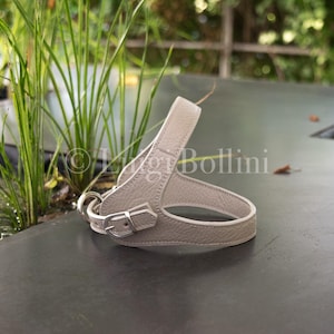 Dog harness, in dove gray leather