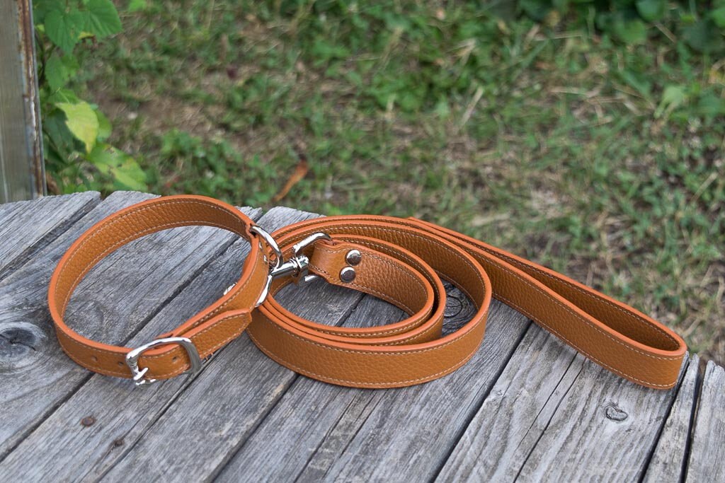 Dog collars and leashes in genuine and exclusive Italian Etsy