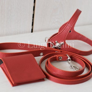 Dog harness and leash set red leather