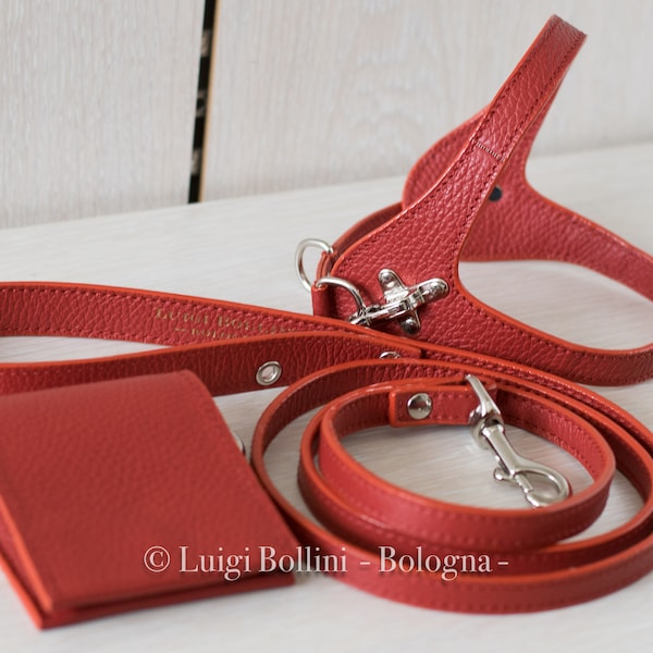 Dog harness and dog lead in genuine Italian leather, red color.