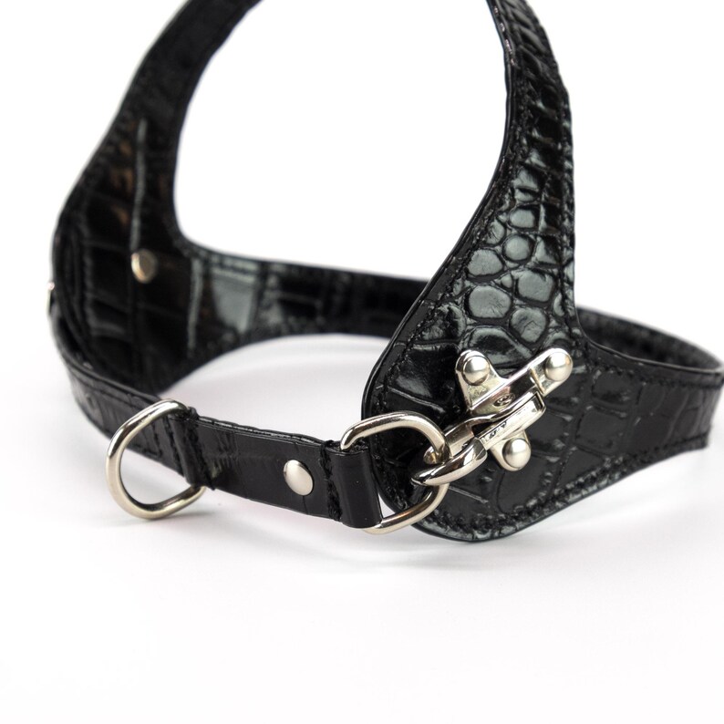 Quick release snap hook detail, embossed black leather dog harness