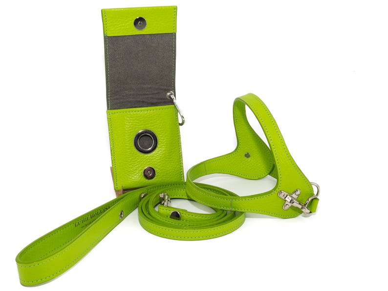 Leather dog harness and leash set brown tan color handmade Italian leather custom adjustable elegant design Green