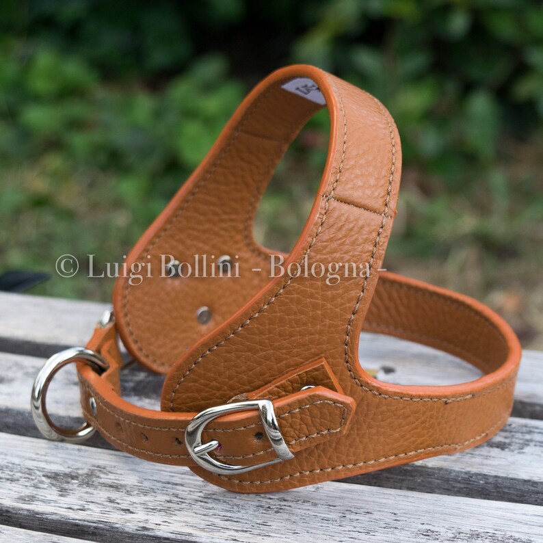 Dog Harness Made in Soft Genuine Italian Leather Cream Color Etsy