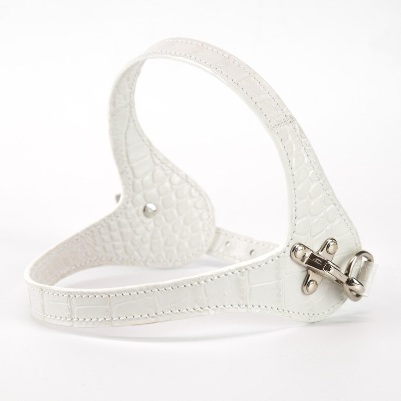 embossed white leather dog harness, handmade in Italy