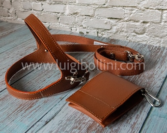 Vegan leather dog harness and leash set tan color