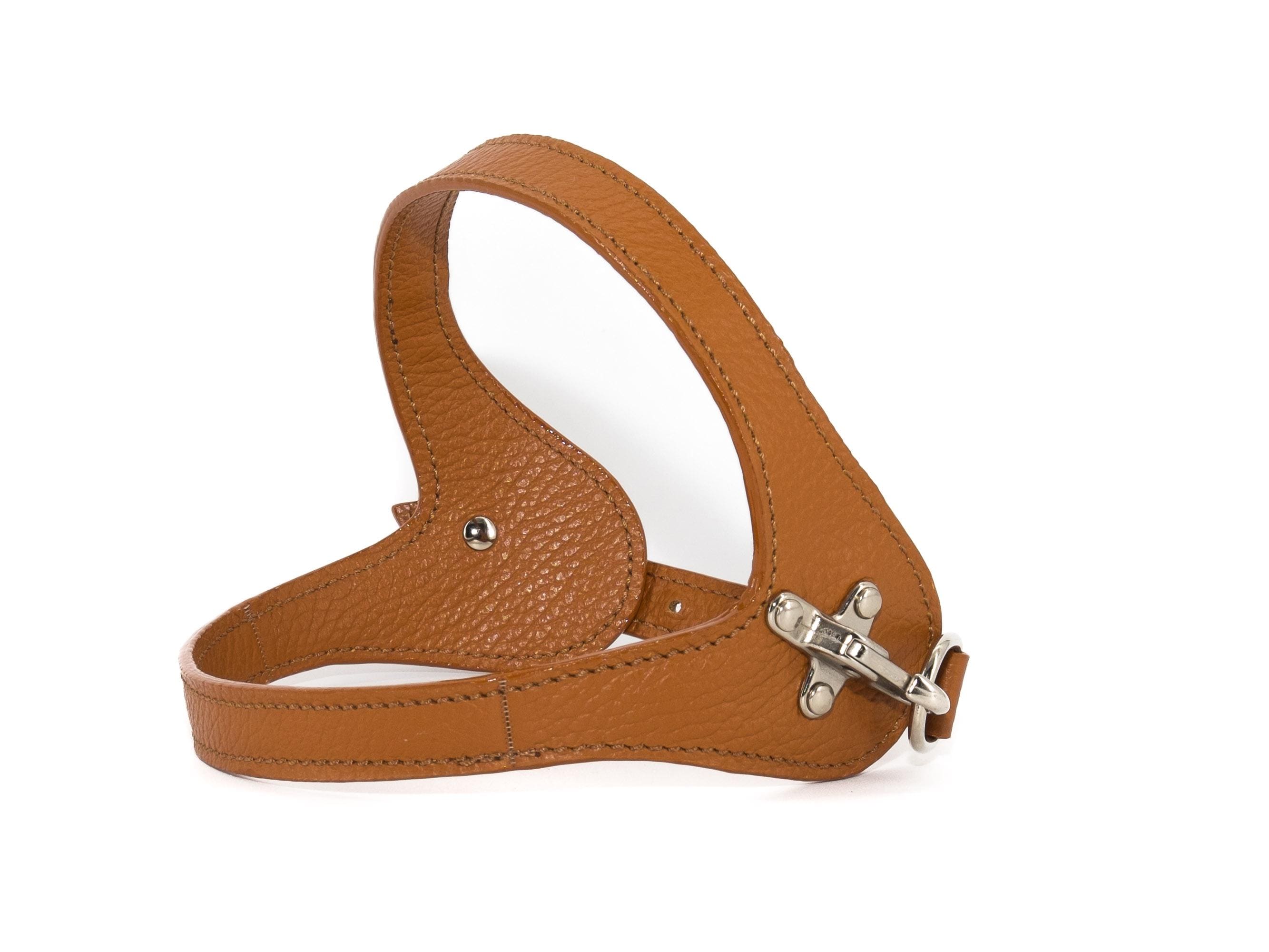 AnnonceAcheter harnais en cuir pour chien - Top 10 harnais en cuir pour chien