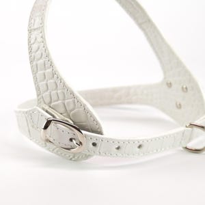 Back strap buckle detail, embossed white leather dog harness