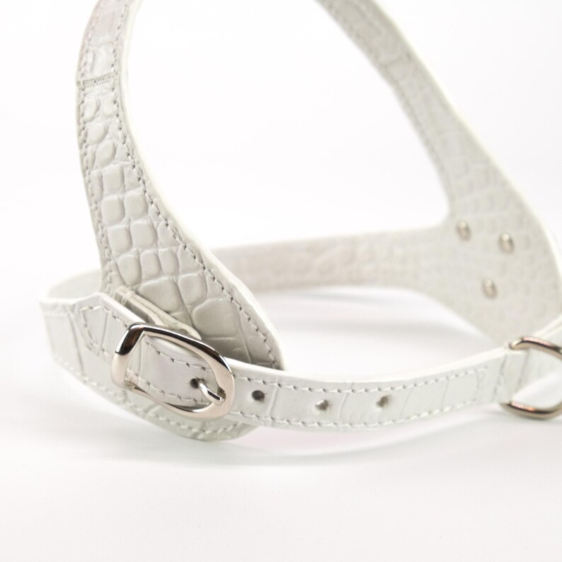 Back strap buckle detail, embossed white leather dog harness