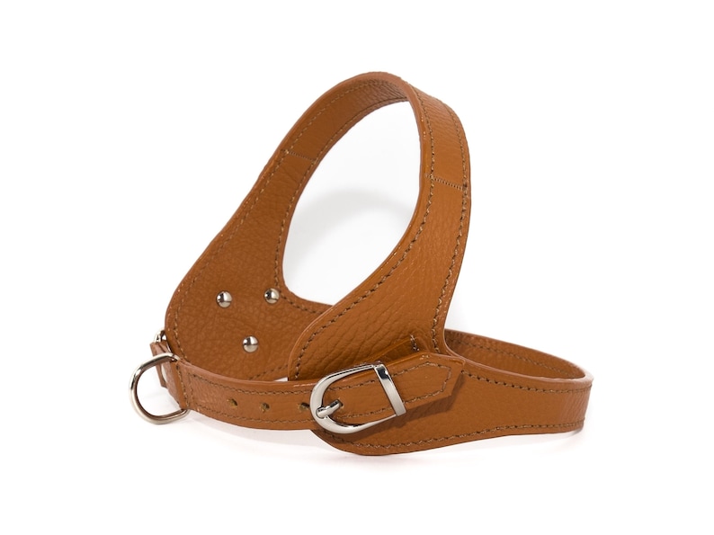 Leather dog harness and leash set brown tan color handmade Italian leather custom adjustable elegant design image 5