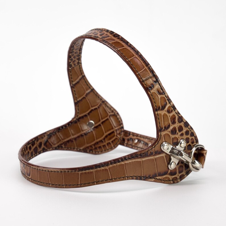 embossed brown leather dog harness, handmade in Italy