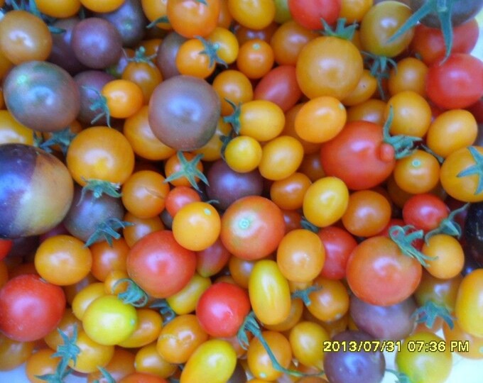 natural seeds and cool designs from Hungary by allfromHungary