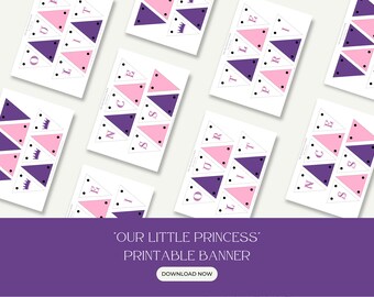 Printable Our Little Princess Pennant Mini Banner, Girl Birthday Decor, Girl Birthday Printables, Girl Nursery Printable Decor, Digital