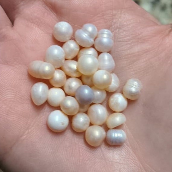 Fake pearls in oysters outlet
