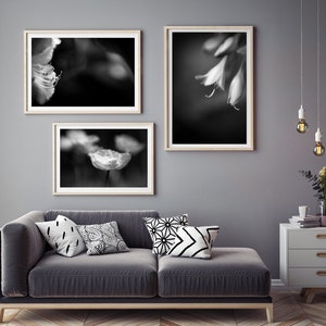 Print Set 2 set of 3 photographic prints floral wall art with poppies, rhododendron and hostas