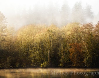 Winter Vapor, fog on glassy water with winter trees landscape with brown hues. Fine art photograph wall art