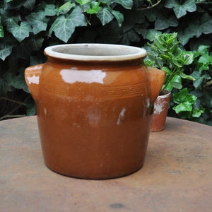 May include: A brown ceramic pot with two handles and a white rim. The pot has a cylindrical shape and is sitting on a rusty metal table. Green foliage is in the background.